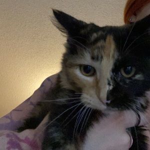 Meet your Posher, Kaylee